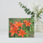 Taglilie Asiatische Orange Postkarte (Stehend Vorderseite)