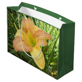 TAGLILIE "Blond Baby" - Gelb-grün-orange. Große Geschenktüte