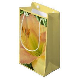 TAGLILIE "Blond Baby" - Gelb-grün-orange. Kleine Geschenktüte