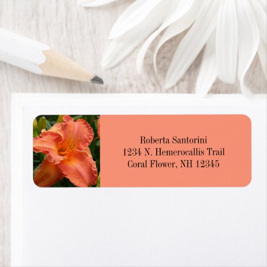 Taglilie Blume Blossom / Hemerocallis / Korallen (Insitu)