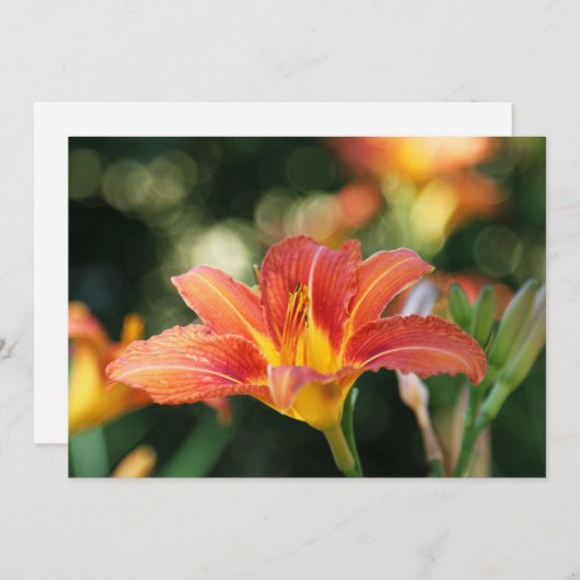 Taglilie Blume Flat Dankeschön Karte (Vorne/Hinten)