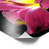 Taglilie Blume Nah 8x10 Fotodruck (Ecke)