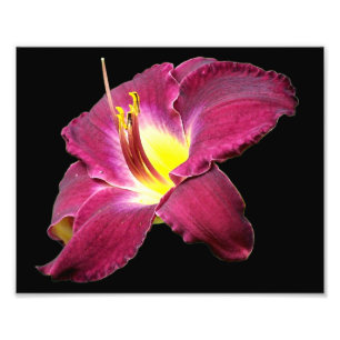 Taglilie Blume Nah 8x10 Fotodruck