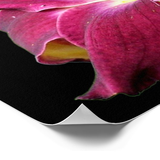 Taglilie Blume Nah Poster (Ecke)