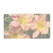 Taglilie Blume Trio / Rosa und Gelb (Vorne)