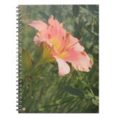 Taglilie der Sonne Notizblock (Vorderseite)