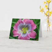 Taglilie 'Dixie Blues Karte (Gelbe Blume)