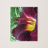 TAGLILIE "Dominic" B Dunkler Wein. Puzzle (Vertikal)