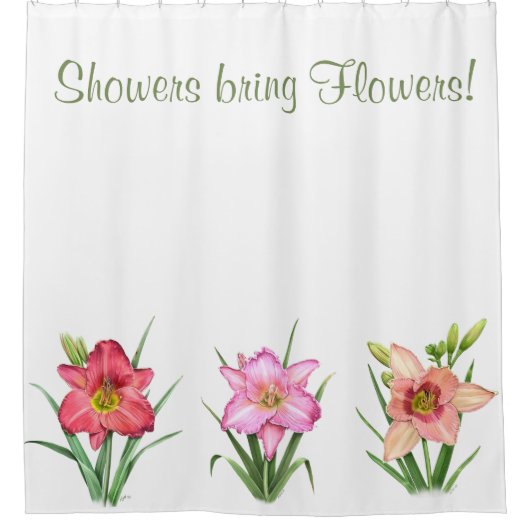 Taglilie Duschvorhang (Vorderseite)
