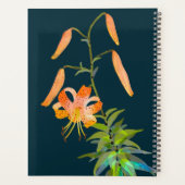 Taglilie für 2023 planer (Rückseite)