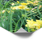 Taglilie Gardens Rainy Day Poster (Ecke)