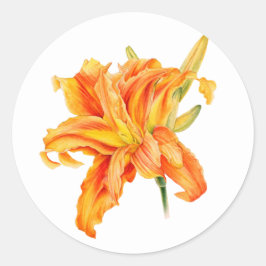 Taglilie Hemerocallis Blumenorange-Aufkleber Runder Aufkleber
