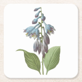 Taglilie (Hemerocallis caerulea) von Redouté Rechteckiger Pappuntersetzer