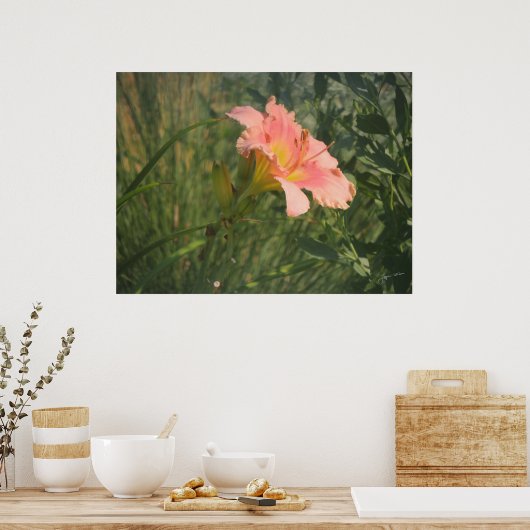 Taglilie in Sun Print Poster (Küche)