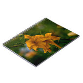 Taglilie "Jersey Spider" Notizblock (Linke Seite)