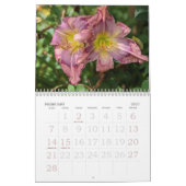 Taglilie Kalender (Feb 2027)