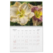 Taglilie Kalender (Mär 2027)