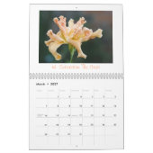 Taglilie-Kalender 2011            … Kalender (Mär 2027)