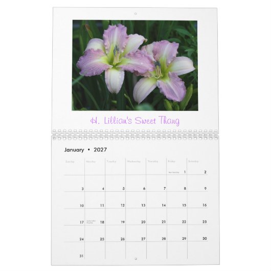 Taglilie-Kalender 2011            … Kalender (Jan 2027)