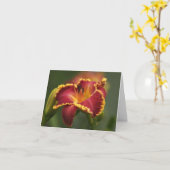 Taglilie Karte (Gelbe Blume)