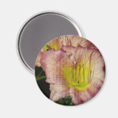 Taglilie Magnet (Vorderseite/Rückseite)