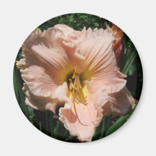 Taglilie Magnet
