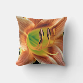 Taglilie Makro Kissen