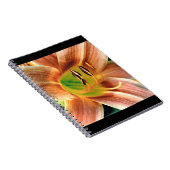 Taglilie Makro Notizblock (Rechte Seite)