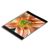 Taglilie Makro Notizblock (Linke Seite)