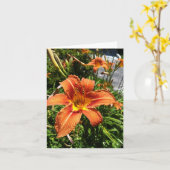 Taglilie Notecards Karte (Gelbe Blume)