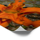 Taglilie Orange Mandala Poster (Ecke)