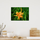 Taglilie: Orange Poster (Küche)