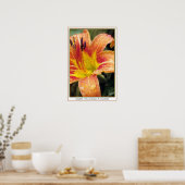 Taglilie Poster (Küche)