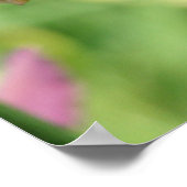 Taglilie Poster (Ecke)