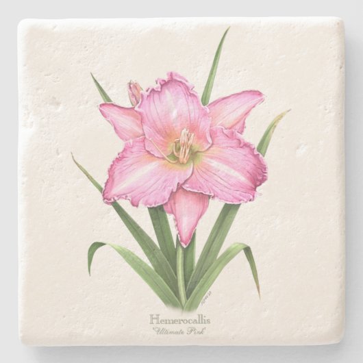 Taglilie - ultimatives Rosa Steinuntersetzer (Vorderseite)