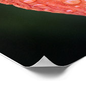 Taglilie, Werteplakatpapier (Matte) Poster (Ecke)