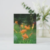 Taglilien des Sommers Postkarte (Stehend Vorderseite)