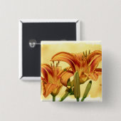 Taglilien - Hemerocallis Button (Vorne & Hinten)