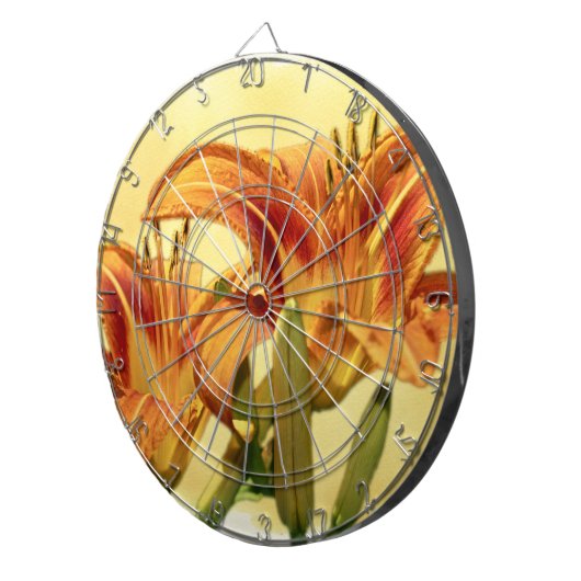 Taglilien - Hemerocallis Dartscheibe (Vorderseite rechts)