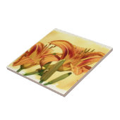 Taglilien - Hemerocallis Fliese (Seite)