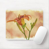 Taglilien - Hemerocallis Mousepad (Mit Mouse)
