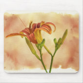 Taglilien - Hemerocallis Mousepad (Vorne)