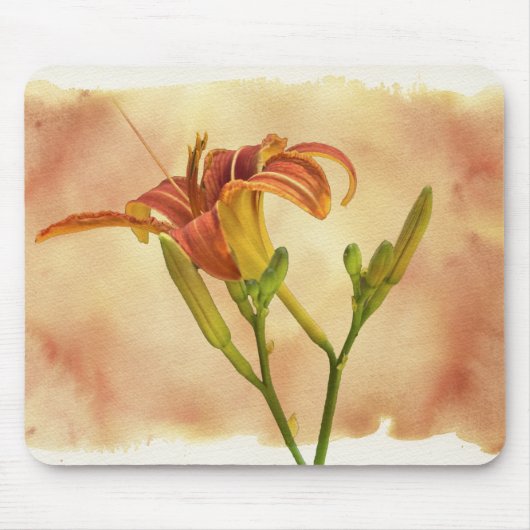 Taglilien - Hemerocallis Mousepad (Vorne)
