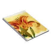 Taglilien - Hemerocallis Notizblock (Rechte Seite)