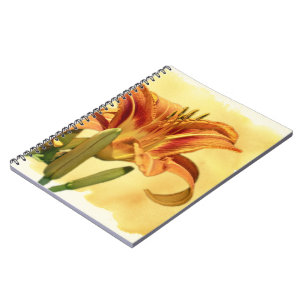Taglilien - Hemerocallis Notizblock