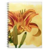 Taglilien - Hemerocallis Notizblock (Vorderseite)