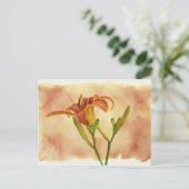 Taglilien - Hemerocallis Postkarte (Stehend Vorderseite)