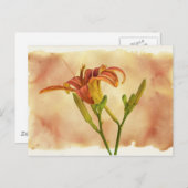 Taglilien - Hemerocallis Postkarte (Vorne/Hinten)