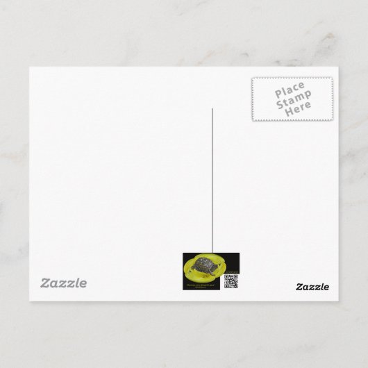 Taglilien - Hemerocallis Postkarte (Rückseite)