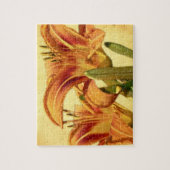 Taglilien - Hemerocallis Puzzle (Vertikal)